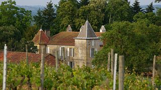 Château Perron: A Family Legacy in Bordeaux