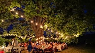 Picnic Among Lombardy Vineyards with a Guided Wine Tasting