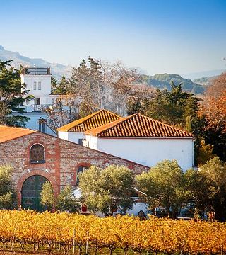 Tour e degustazione di vini premium al Domaine de Rombeau