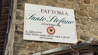Bacco Wine tour at Fattoria Santo Stefano