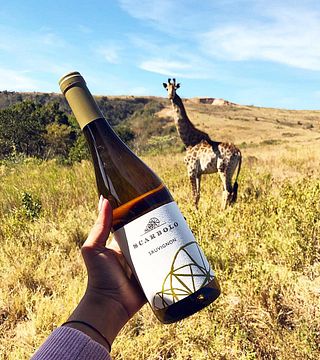 Scarbolo Winery