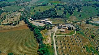 Brunello Selection Degustação de vinhos de luxo