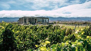 Estancia Los Cardones