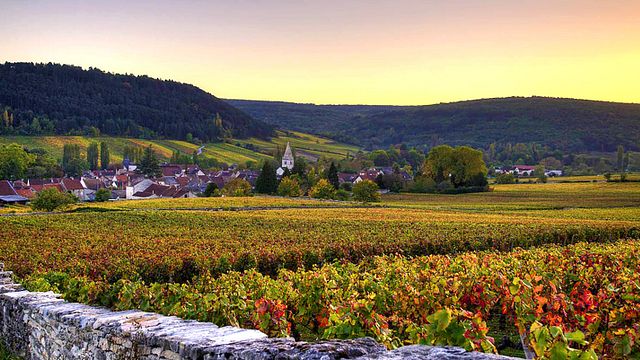 Cata de vinos y visita a la Maison Jaffelin 5 vinos