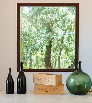Passeggiata nei vigneti, visita alla cantina e degustazione di vini a Cámbrico - Sabato