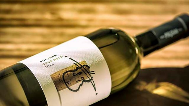 Dégustation de vins et visite à Vina Poljšak
