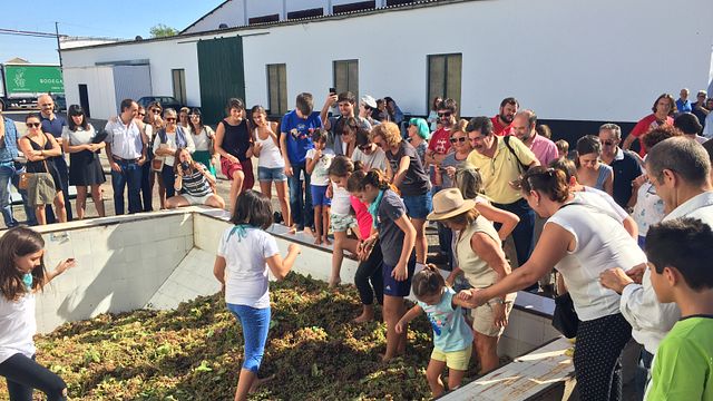 Degustazione di vini e visita alle Bodegas Robles