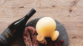 Dégustation et visite des vins du domaine Le Casemmatte