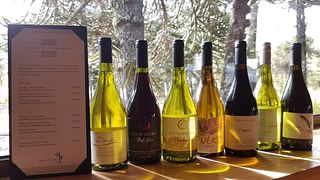 Cata y tour de vinos en Viña Capitán Pastene