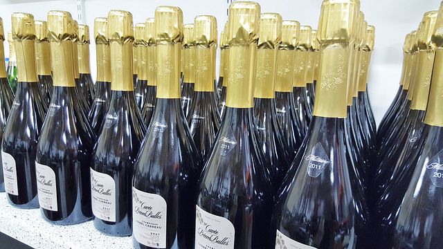 Un moment de qualité au domaine viticole Carreau
