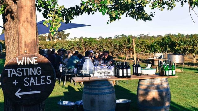 Degustazione di vini e tour presso Raidis Estate Coonawarra