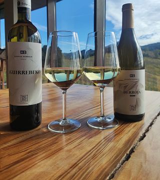 Cave Berroja : Txakoli, nature et paysage