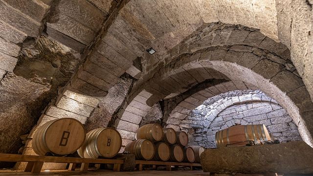 Cata de 3 Vinos con Visita Guiada | Bodegas y Viñedos Bruneo