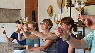 Douro Vineyard Walk & DOC Wine Tasting at Quinta da Pousada