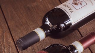 Wine tasting and tour at Fattoria Della Talosa