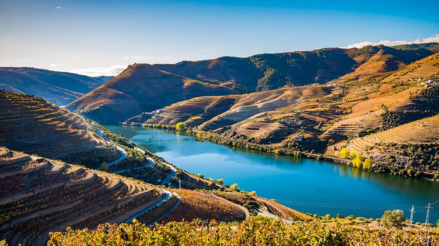 Tour privato del vino nella valle del Douro: 2 cantine, crociera a Pinhão e pranzo