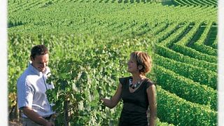 Wine tasting and tour at Vignoble de la Jarnoterie
