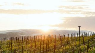 Inomhus: Salt & Acid Pairing på Shadowbox Cellars