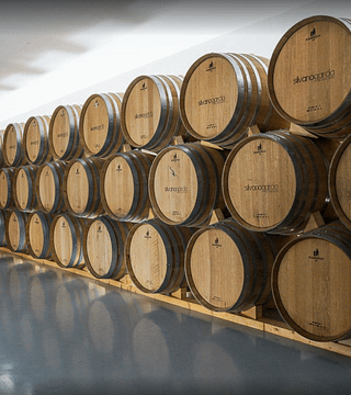 Descubra 3 generaciones de enólogos: aromas de 4 vinos excepcionales