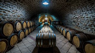 Cata de vinos y visita al Château Bas