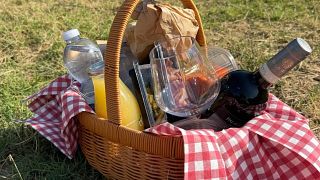 Picnic among the rows of Vernaccia di San Gimignano vines