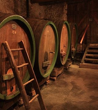 Dégustation et visite des vins du Domaine Jean-Louis Schoepfer