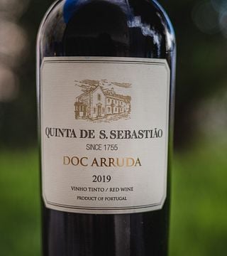 Degustazione di vini e spettacolo di dressage