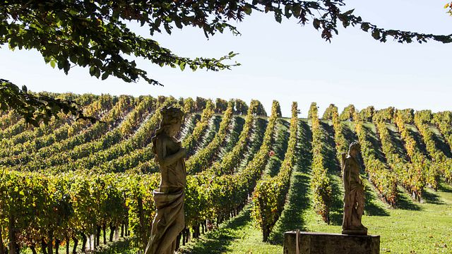 Prestige Wine Tour and Tasting at Chateau De La Riviere