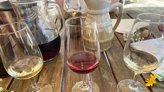Charla sobre vinos en la sala de degustación de Pambos