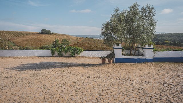 Quinta do Olival da Murta
