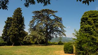 Visita y cata de vinos en la Bodega Fattoria Lavacchio Bio