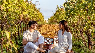 Un pique-nique dans le vignoble