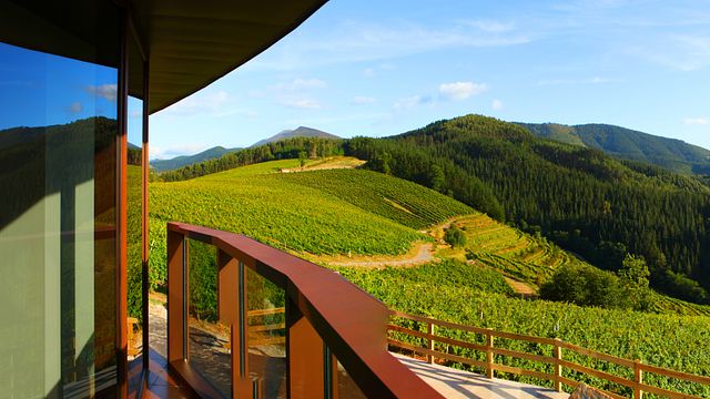 Cave Berroja : Txakoli, nature et paysage