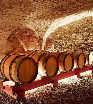 Wine Tasting at Château De Chamirey