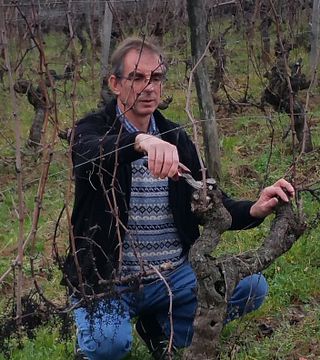 Wine tasting and tour at Château du Bloy