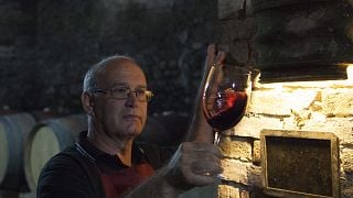 Cata de vinos y visita guiada a Fattoria Poggio Capponi
