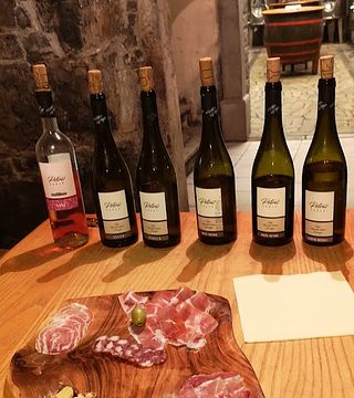Cata de vinos y visita a la bodega Petrič