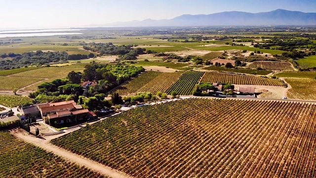 Degustazione di vini e tour a Mas Baux