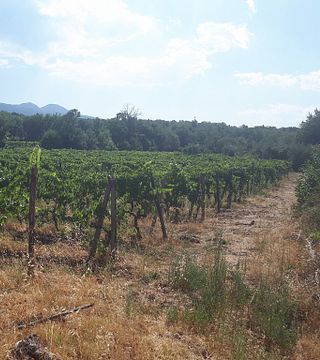 La experiencia del tour Contrada en la bodega Etnella