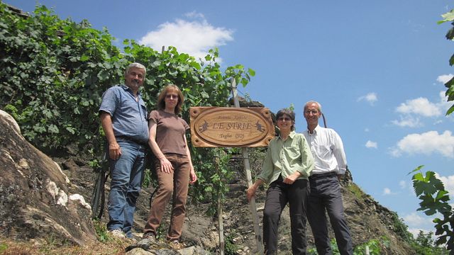 Le Strie Winery