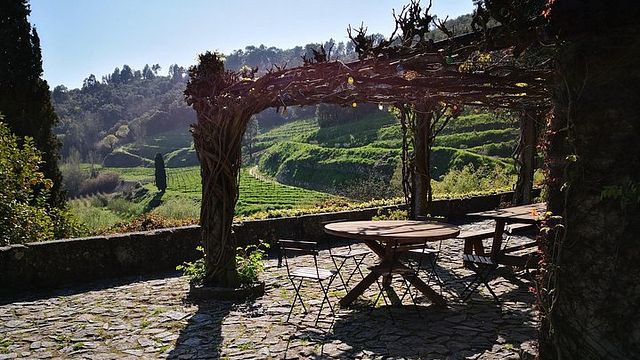 Visite privée premium de Vinho Verde et de la vallée du Douro : visite de 3 établissements vinicoles avec dégustations de vins et déjeuner