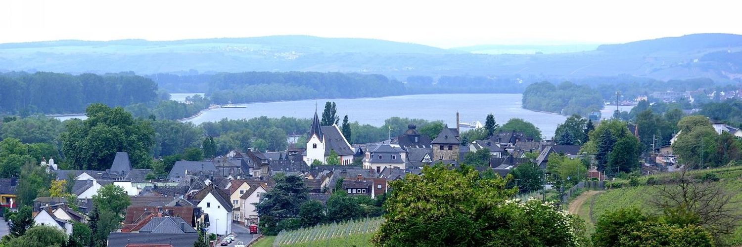 weingut kaufmann - vineyard and village