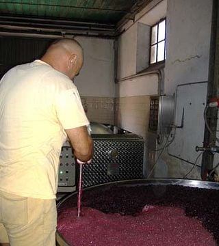 Dégustation de vins et visite à Sant'Agnese