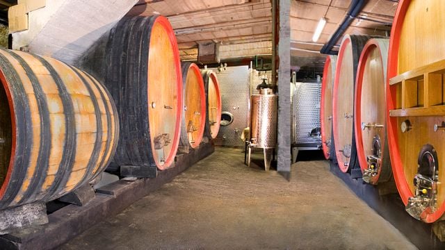 Vinprovning med vinmakare Christophe Bléger