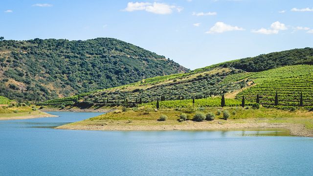 Tours e picnic a Quinta da Vineadouro