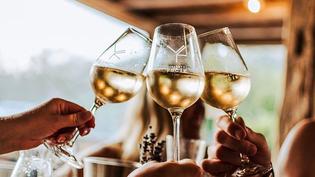 Expérience vin et dîner à Mikulov