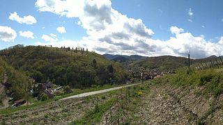  Discovery and wine tasting trail at  Domaine François Meyer