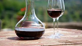 Cata de vinos y visita guiada en Wine Barnovi 