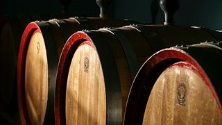 Wine Tasting Experience at L'Arco Estate