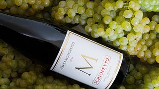 Schiopetto Winery